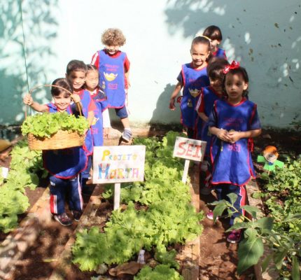 Estudantes da Educação Infantil têm horta própria e aprendem conceitos sobre sustentabilidade, meio ambiente e alimentação saudável
