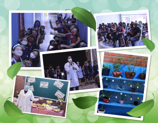 Projeto “Cantinho da Cura” da Unidade de Uberlândia reforça a proposta de virtudes e valores do Colégio Batista